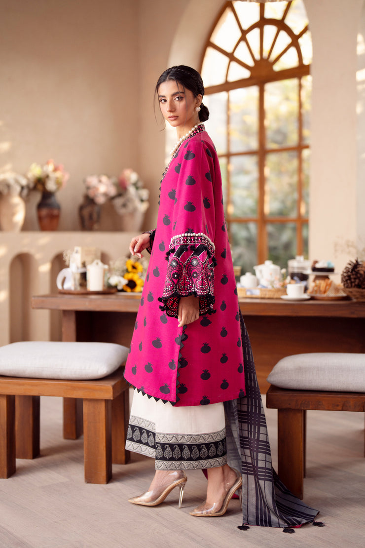 3 Piece - Printed & Embroidered Khaddar Suit - AU-06